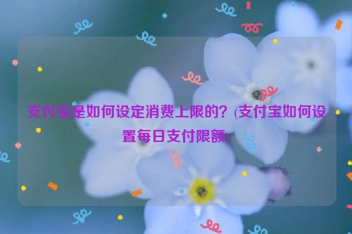 支付宝是如何设定消费上限的？(支付宝如何设置每日支付限额)