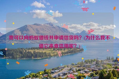 我可以向蚂蚁借钱并申请信贷吗？(为什么我不借它来查信用呢？)