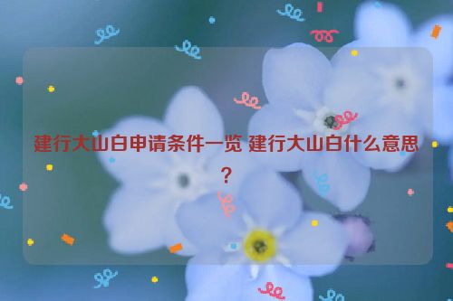 建行大山白申请条件一览 建行大山白什么意思？