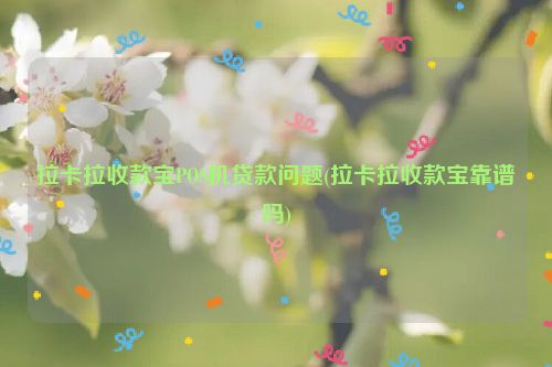 拉卡拉收款宝POS机贷款问题(拉卡拉收款宝靠谱吗)