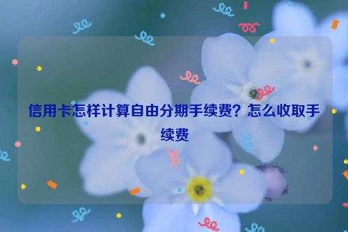 信用卡怎样计算自由分期手续费？怎么收取手续费