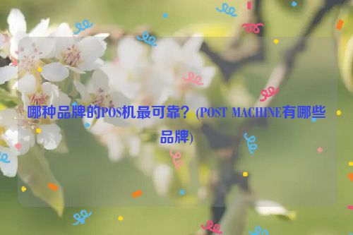 哪种品牌的POS机***可靠？(POST MACHINE有哪些品牌)