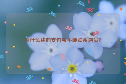 为什么我的支付宝不能联系店员？