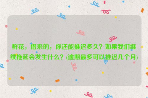 鲜花，借来的，你还能推迟多久？如果我们继续拖延会发生什么？(逾期***多可以推迟几个月)