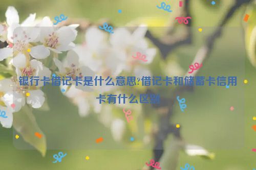 银行卡借记卡是什么意思?借记卡和储蓄卡信用卡有什么区别