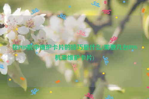 在POS机中维护卡片的技巧是什么(需要几台POS机来维护卡片)