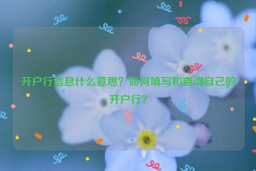 开户行信息什么意思？如何填写和查询自己的开户行？