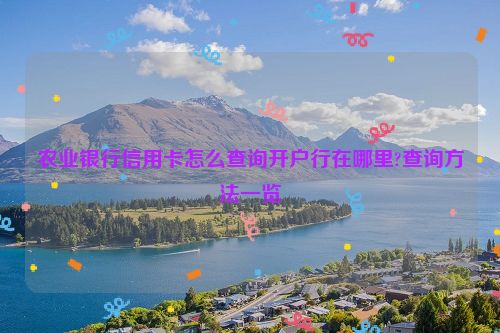 农业银行信用卡怎么查询开户行在哪里?查询方法一览