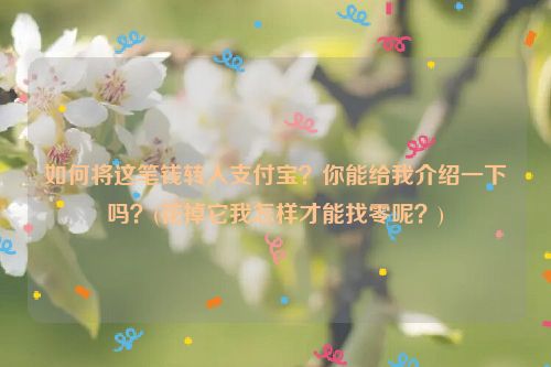 如何将这笔钱转入支付宝？你能给我介绍一下吗？(花掉它我怎样才能找零呢？)