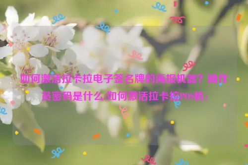 如何激活拉卡拉电子签***的海报机器？操作员密码是什么(如何激活拉卡拉POS机)