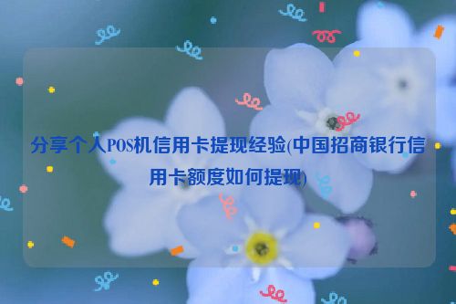 分享个人POS机信用卡提现经验(中国招商银行信用卡额度如何提现)