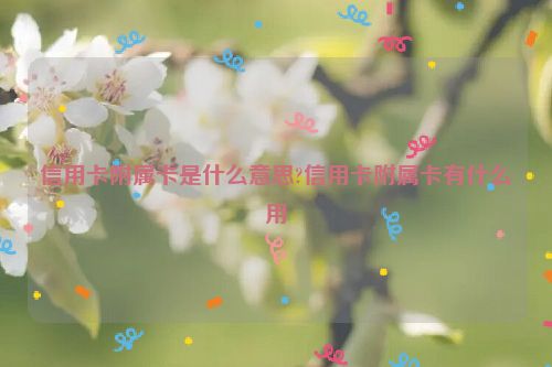 信用卡附属卡是什么意思?信用卡附属卡有什么用