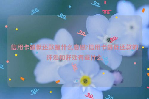 信用卡***低还款是什么意思?信用卡***低还款的坏处和好处有些什么