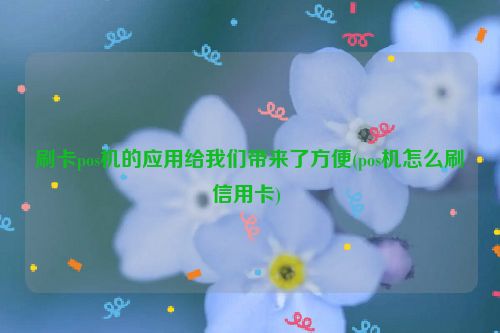 刷卡pos机的应用给我们带来了方便(pos机怎么刷信用卡) 