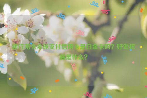 建行龙卡全球支付信用卡是白金卡吗？好处权益是什么？