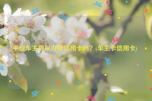 平安车主可以办理信用卡吗？(车主卡信用卡) 