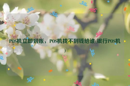 POS机立即到账，POS机找不到钱给谁(银行POS机)