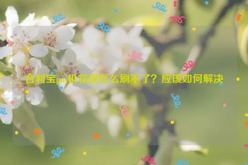 合利宝pos机花呗怎么刷不了？应该如何解决