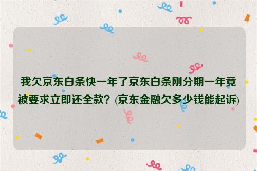 我欠京东白条快一年了京东白条刚分期一年竟被要求立即还全款？(京东金融欠多少钱能起诉) 