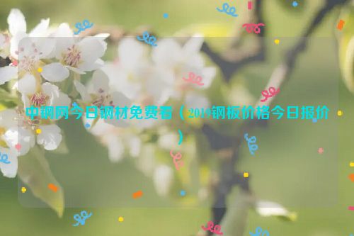 中钢网今日钢材免费看（2019钢板价格今日报价）