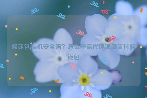 盛钱包pos机安全吗？怎么申请代理银盛支付盛钱包