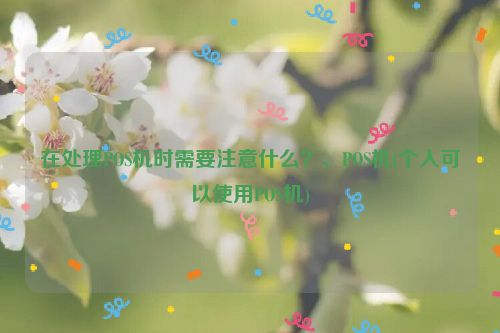 在处理POS机时需要注意什么？、POS机(个人可以使用POS机)