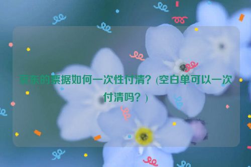 京东的票据如何一次性付清？(空白单可以一次付清吗？)