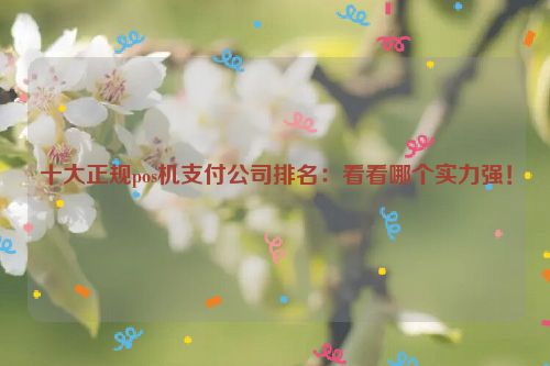 十大正规pos机支付公司排名：看看哪个实力强！ 